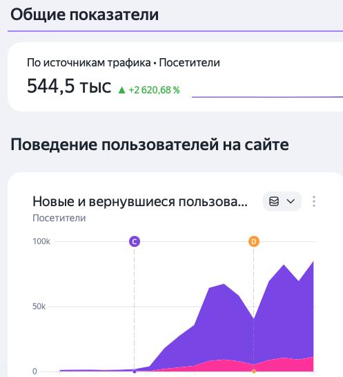 Клиника лечения боли: скриншот аналитики и позиций 1